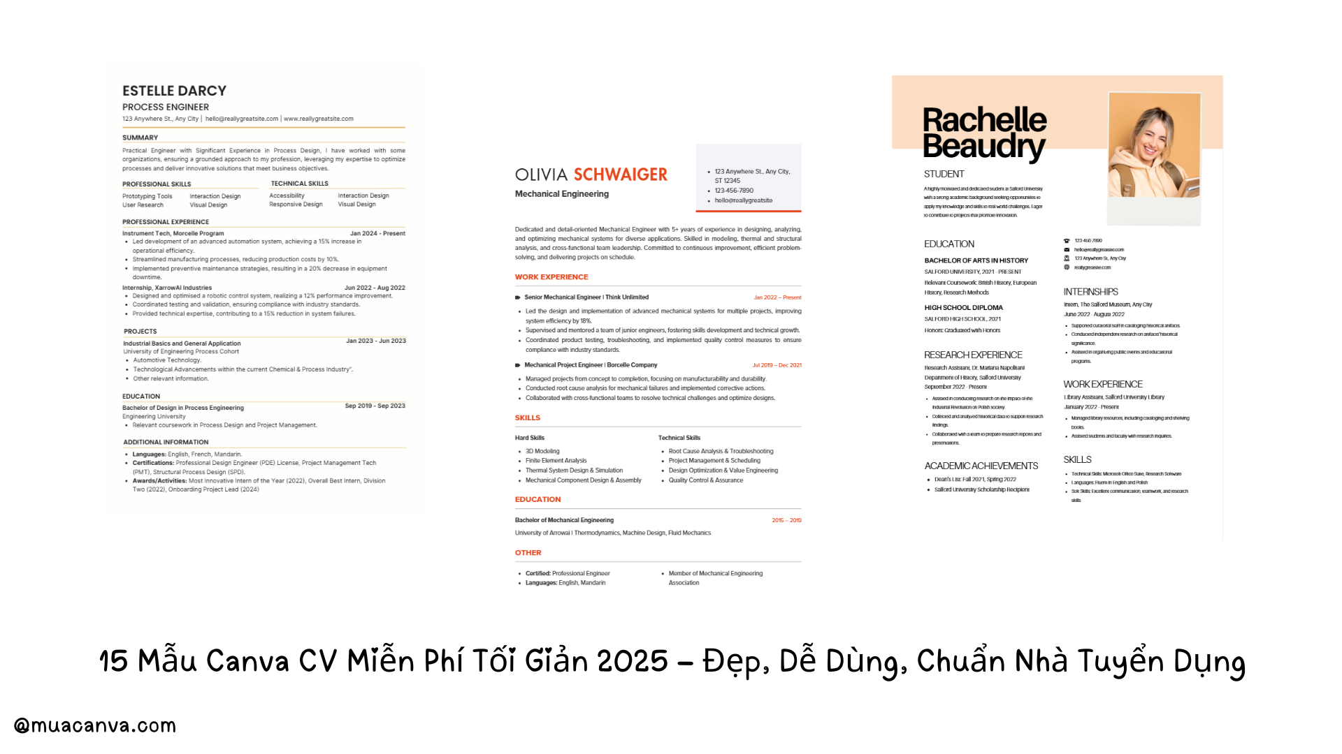 15 Mẫu Canva CV Miễn Phí Tối Giản 2025 – Đẹp, Dễ Dùng, Chuẩn Nhà Tuyển Dụng